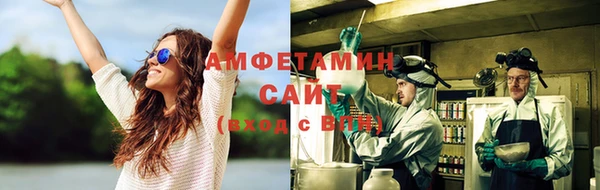 ГАЛЛЮЦИНОГЕННЫЕ ГРИБЫ Алзамай