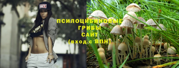 ГАЛЛЮЦИНОГЕННЫЕ ГРИБЫ Алзамай