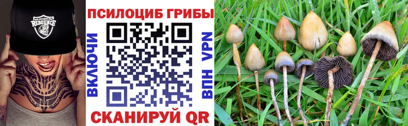 Псилоцибиновые грибы Cubensis  МЕГА   Мантурово 